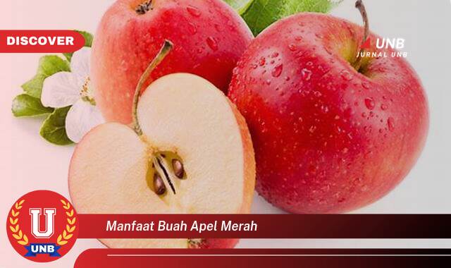 Temukan 8 Manfaat Buah Apel Merah untuk Kesehatan Tubuh Anda