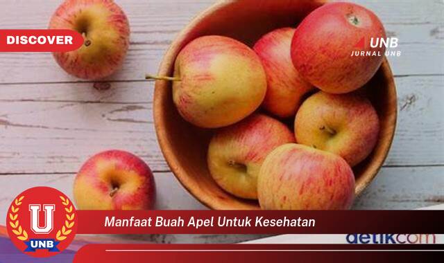 Temukan 9 Manfaat Buah Apel untuk Kesehatan, Dari Meningkatkan Imunitas Hingga Menjaga Berat Badan Ideal Temukan 9 Manfaat Buah Apel untuk Kesehatan, Dari Meningkatkan Imunitas Hingga Menjaga Berat Badan Ideal