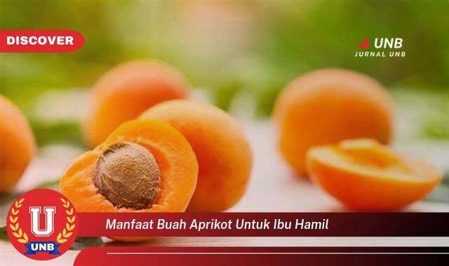 Inilah 9 Manfaat manfaat buah aprikot untuk ibu hamil yang Wajib kamu ketahui