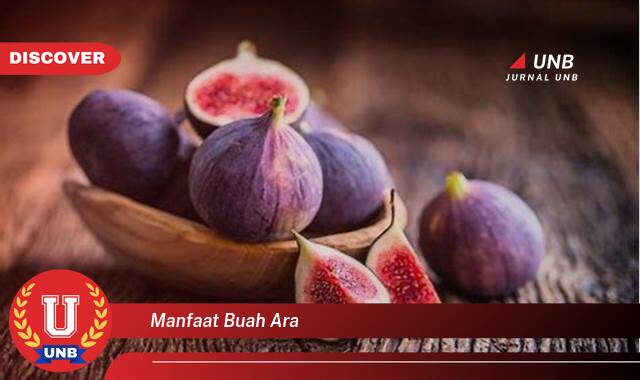 Temukan 10 Manfaat Buah Ara untuk Kesehatan, Dari Pencernaan hingga Jantung Sehat Temukan 10 Manfaat Buah Ara untuk Kesehatan, Dari Pencernaan hingga Jantung Sehat