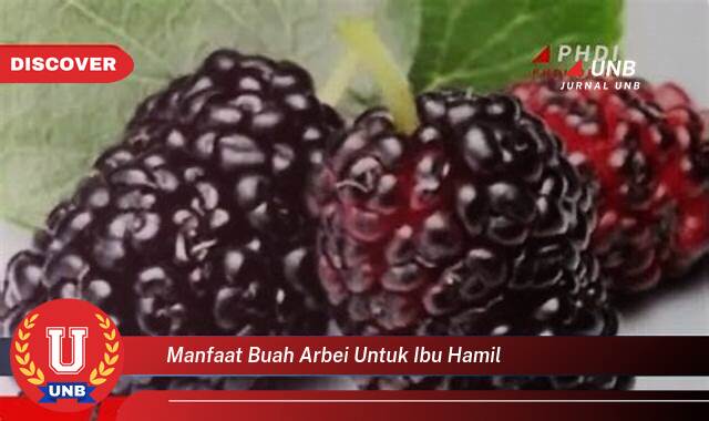Temukan 10 Manfaat manfaat buah arbei untuk ibu hamil yang Jarang Diketahui