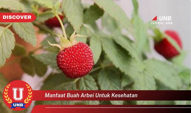 10 Manfaat manfaat buah arbei untuk kesehatan yang Wajib Kamu Intip