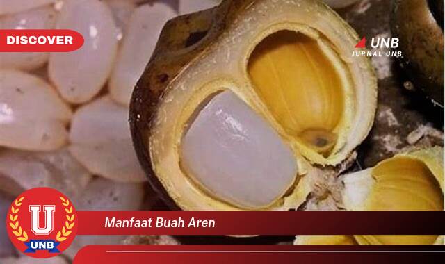 Temukan 9 Manfaat buah aren yang Jarang Diketahui