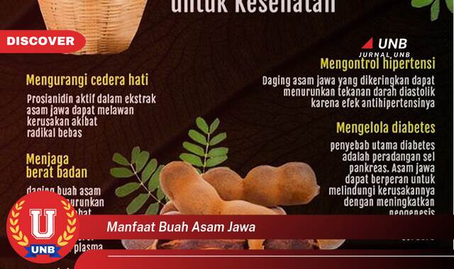 Inilah 8 Manfaat manfaat buah asam jawa yang Jarang Diketahui