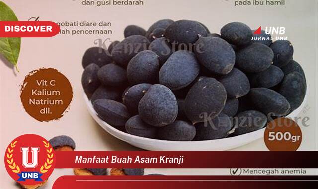 Temukan 9 Manfaat manfaat buah asam kranji yang Jarang Diketahui