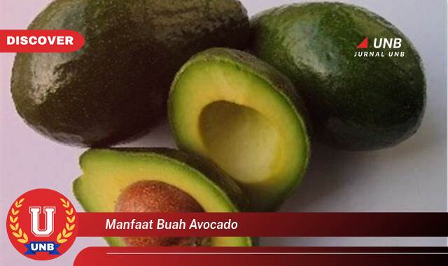 10 Manfaat buah avocado yang Wajib kamu ketahui