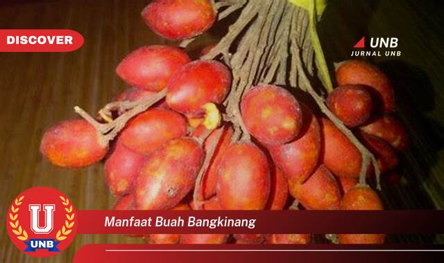 Temukan 9 Manfaat Buah Bangkinang untuk Kesehatan Anda