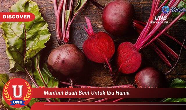 Inilah 10 Manfaat manfaat buah beet untuk ibu hamil yang Bikin Kamu Penasaran
