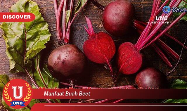 Temukan 9 Manfaat Buah Beet, Dari Kesehatan Jantung Hingga Kecantikan Kulit Temukan 9 Manfaat Buah Beet, Dari Kesehatan Jantung Hingga Kecantikan Kulit