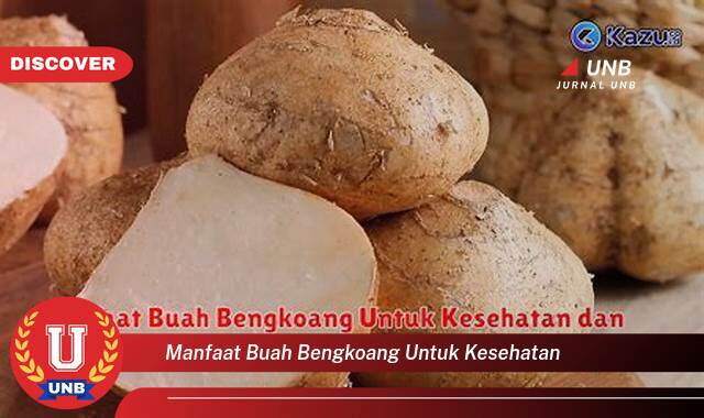 Temukan 9 Manfaat Buah Bengkoang untuk Kesehatan Kulit, Pencernaan, dan Lainnya Temukan 9 Manfaat Buah Bengkoang untuk Kesehatan Kulit, Pencernaan, dan Lainnya