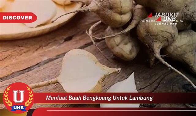 Temukan 10 Manfaat manfaat buah bengkoang untuk lambung yang Wajib kamu ketahui
