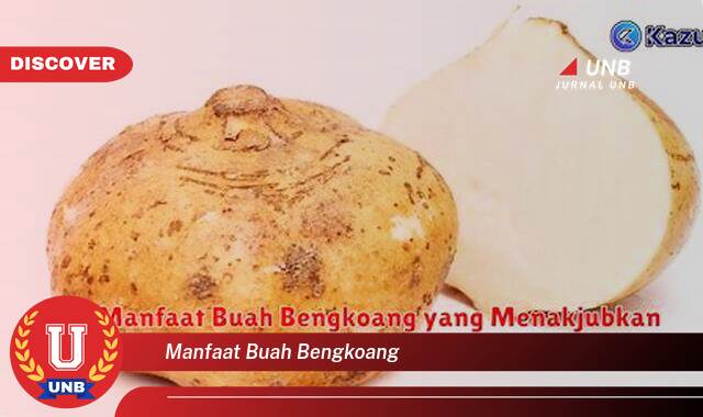 Temukan 9 Manfaat Buah Bengkoang untuk Kulit Cantik dan Sehat Alami Temukan 9 Manfaat Buah Bengkoang untuk Kulit Cantik dan Sehat Alami