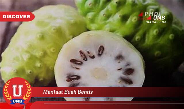 Temukan 8 Manfaat buah bentis yang tidak Semua Orang Tau