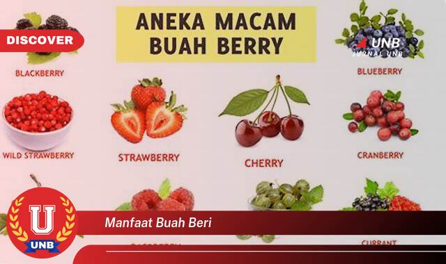 Temukan 8 Manfaat Buah Beri, Blueberry, Strawberry, Raspberry, dan Lainnya Untuk Kesehatan Temukan 8 Manfaat Buah Beri, Blueberry, Strawberry, Raspberry, dan Lainnya Untuk Kesehatan