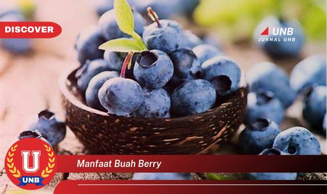 Temukan 8 Manfaat Buah Berry, Blueberry, Raspberry, Stroberi, dan Lainnya untuk Kesehatan Anda