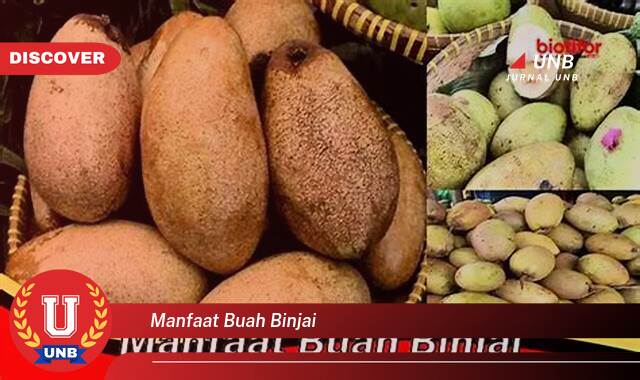 Temukan 9 Manfaat manfaat buah binjai yang Wajib kamu ketahui