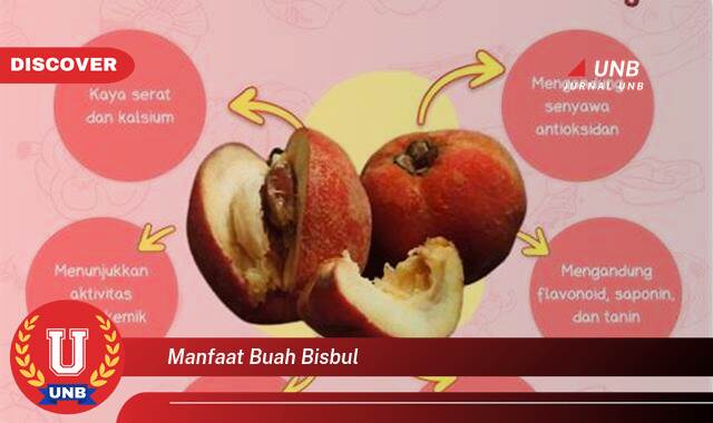 Temukan 8 Manfaat Buah Bisbul untuk Kesehatan Anda yang Luar Biasa