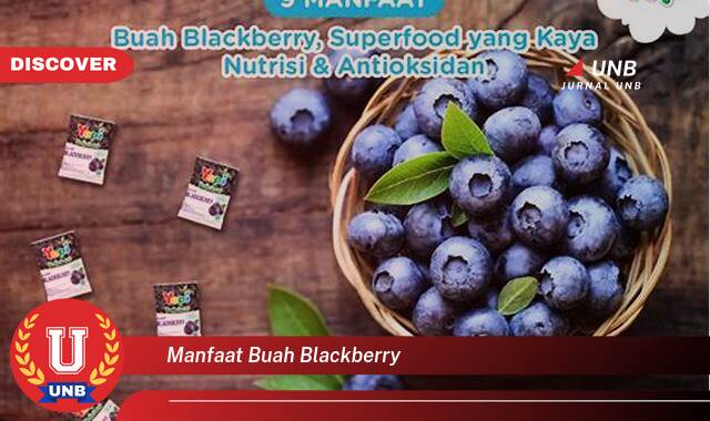 Temukan 8 Manfaat Buah Blackberry untuk Kesehatan, Dari Antioksidan hingga Pencegahan Kanker