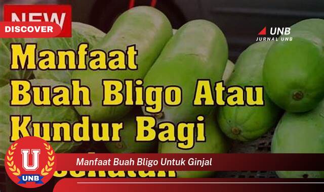 Temukan 10 Manfaat manfaat buah bligo untuk ginjal yang Bikin Kamu Penasaran