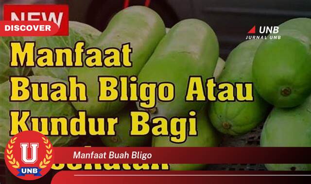 Temukan 8 Manfaat Buah Bligo untuk Kesehatan Tubuh Anda