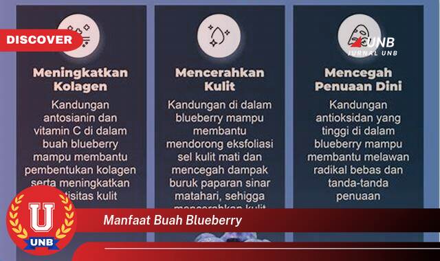 Temukan 10 Manfaat Buah Blueberry untuk Kesehatan, Kecantikan, dan Resep Lezat Temukan 10 Manfaat Buah Blueberry untuk Kesehatan, Kecantikan, dan Resep Lezat