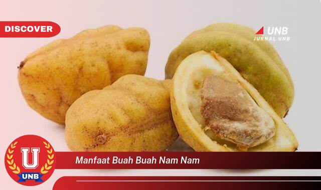 Temukan 10 Manfaat Buah Nam Nam untuk Kesehatan dan Kecantikan