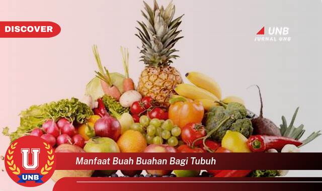 Temukan 10 Manfaat Buah,buahan bagi Tubuh, Panduan Lengkap untuk Kesehatan Optimal