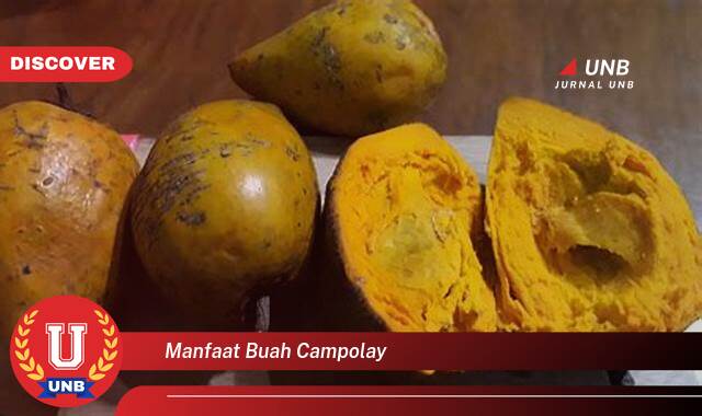 Temukan 8 Manfaat Buah Campolay untuk Kesehatan dan Kecantikan Anda