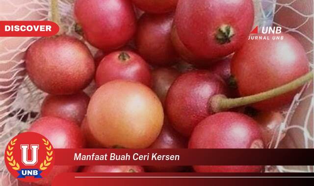 Temukan 8 Manfaat Buah Ceri Kersen untuk Kesehatan Anda