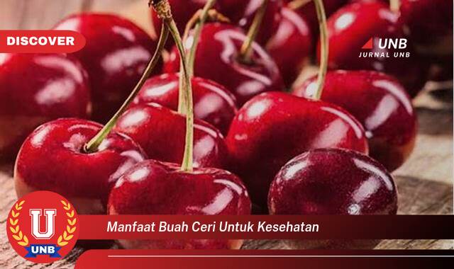 Ketahui 8 Manfaat manfaat buah ceri untuk kesehatan yang Bikin Kamu Penasaran