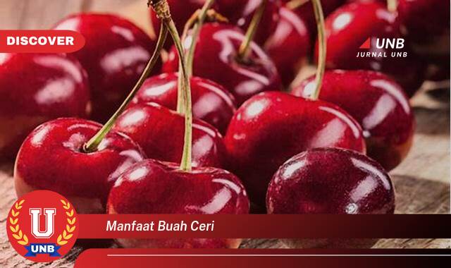 Temukan 8 Manfaat Buah Ceri untuk Kesehatan Tubuh Anda Temukan 8 Manfaat Buah Ceri untuk Kesehatan Tubuh Anda