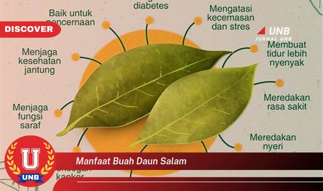 Temukan 9 Manfaat Buah Daun Salam untuk Kesehatan dan Kecantikan Anda