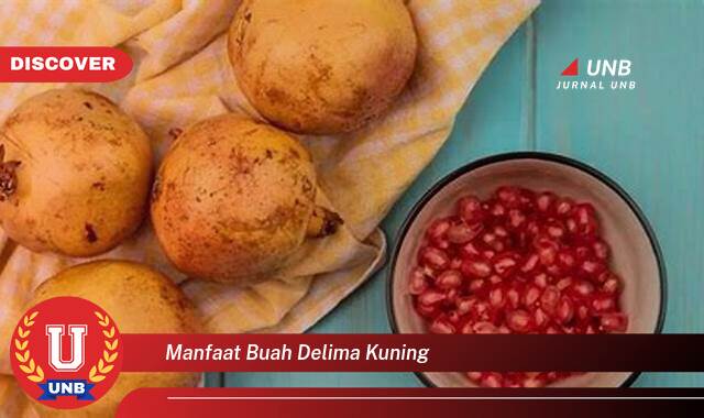Ketahui 10 Manfaat manfaat buah delima kuning yang Wajib Kamu Intip