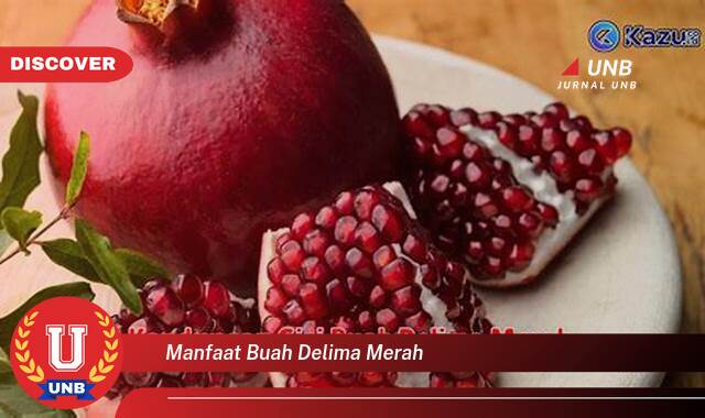 Temukan 9 Manfaat Buah Delima Merah untuk Kesehatan Anda yang Luar Biasa Temukan 9 Manfaat Buah Delima Merah untuk Kesehatan Anda yang Luar Biasa