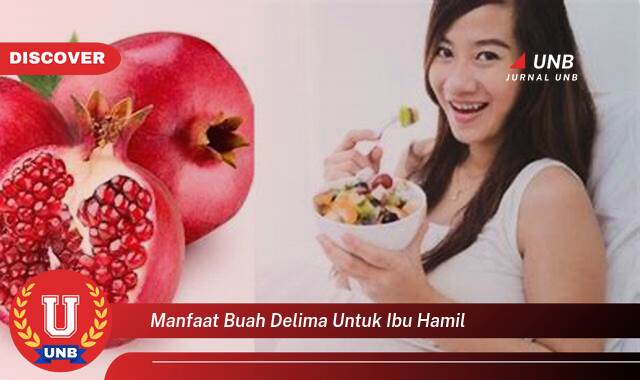 Temukan 10 Manfaat Buah Delima untuk Ibu Hamil, Kesehatan & Nutrisi Lengkap