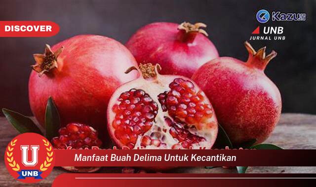 Temukan 9 Manfaat manfaat buah delima untuk kecantikan yang tidak Semua Orang Tau