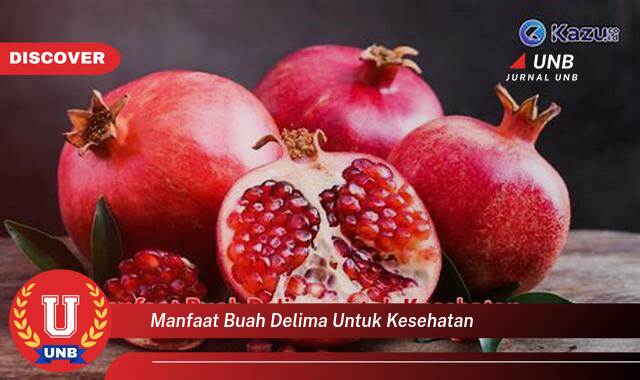 Temukan 9 Manfaat Buah Delima untuk Kesehatan Tubuh Anda Secara Keseluruhan