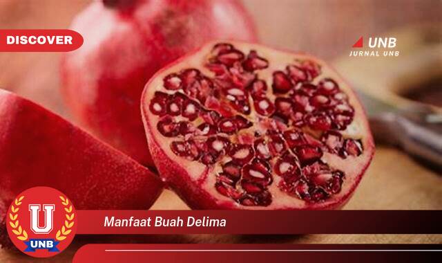 Temukan 8 Manfaat Buah Delima untuk Kesehatan, Kecantikan, dan Cara Mengonsumsinya Temukan 8 Manfaat Buah Delima untuk Kesehatan, Kecantikan, dan Cara Mengonsumsinya