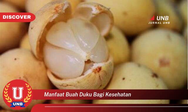 Temukan 10 Manfaat Buah Duku bagi Kesehatan Tubuh Anda