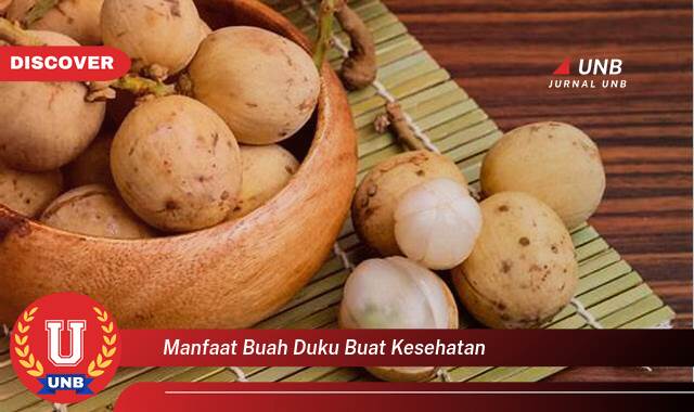 Temukan 10 Manfaat Buah Duku untuk Kesehatan Tubuh Anda