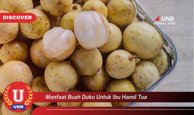 Temukan 10 Manfaat Buah Duku untuk Ibu Hamil Tua, Nutrisi Penting dan Keamanan Konsumsi