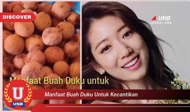 Ketahui 10 Manfaat buah duku untuk kecantikan yang Wajib kamu ketahui