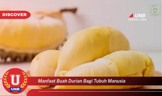 Inilah 9 Manfaat buah durian bagi tubuh yang Wajib Kamu Intip