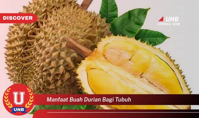 Temukan 9 Manfaat Buah Durian bagi Tubuh,  Dari Kesehatan Jantung Hingga Energi