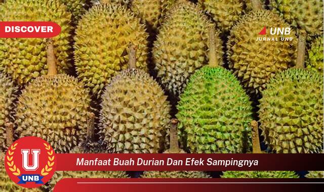 Temukan 10 Manfaat Buah Durian untuk Kesehatan dan Efek Samping yang Perlu Diwaspadai