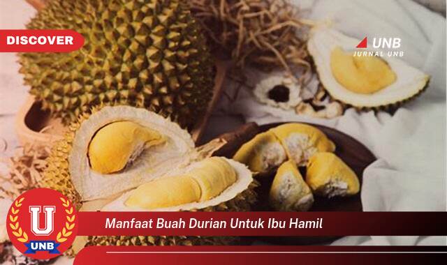 Temukan 9 Manfaat manfaat buah durian untuk ibu hamil yang Bikin Kamu Penasaran