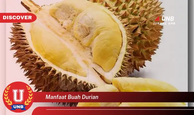 manfaat buah durian