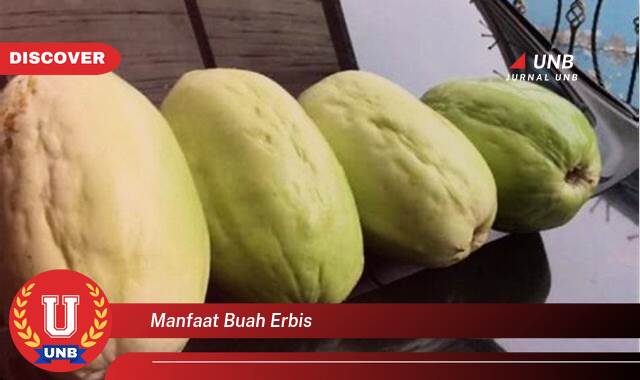 Temukan 9 Manfaat manfaat buah erbis yang Bikin Kamu Penasaran
