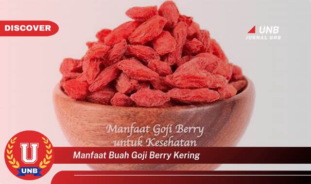 Temukan 8 Manfaat manfaat buah goji berry kering yang Wajib Kamu Intip