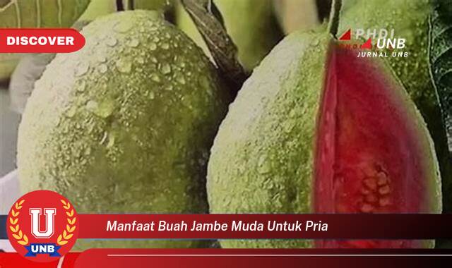 Temukan 9 Manfaat Buah Jambe Muda untuk Pria, Meningkatkan Stamina dan Vitalitas Temukan 9 Manfaat Buah Jambe Muda untuk Pria, Meningkatkan Stamina dan Vitalitas